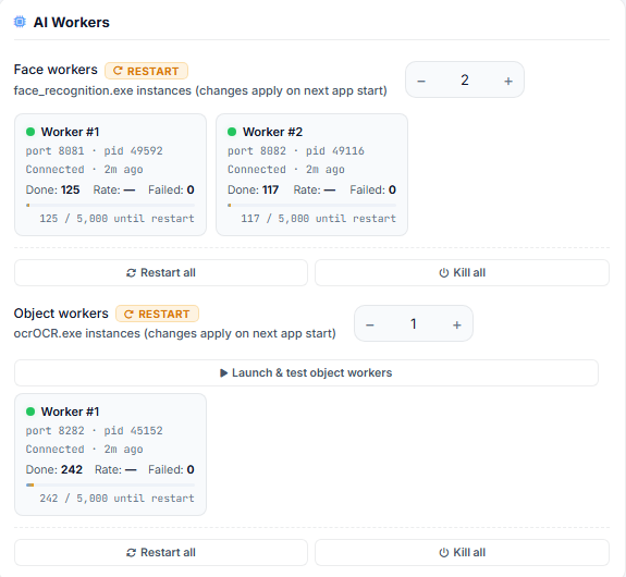 The AI Workers panel showing face and object worker processes with their counters